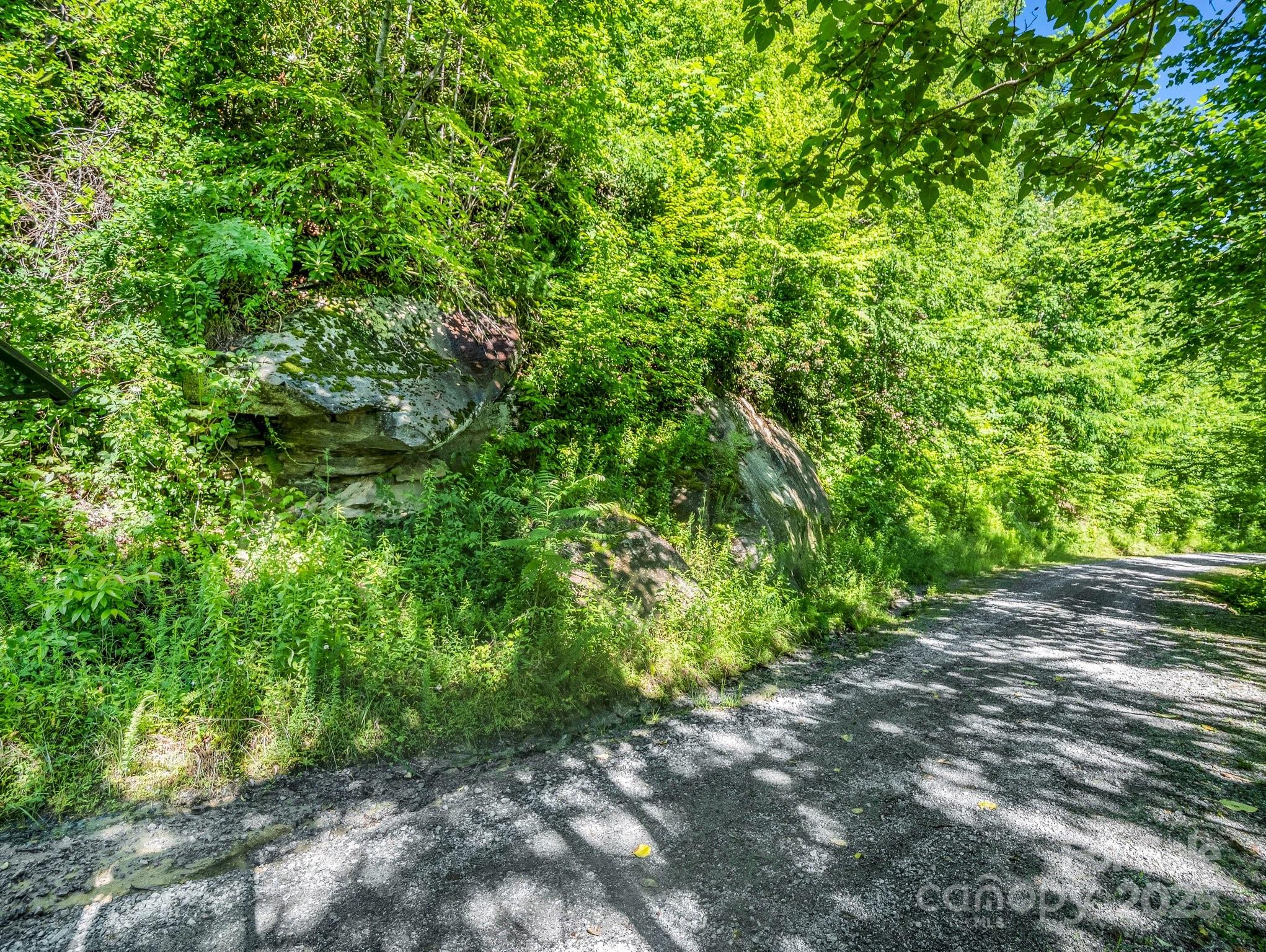 Tbd Climbing Road Hendersonville NC 28792