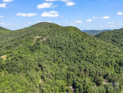 Tbd Climbing Road Hendersonville NC 28792
