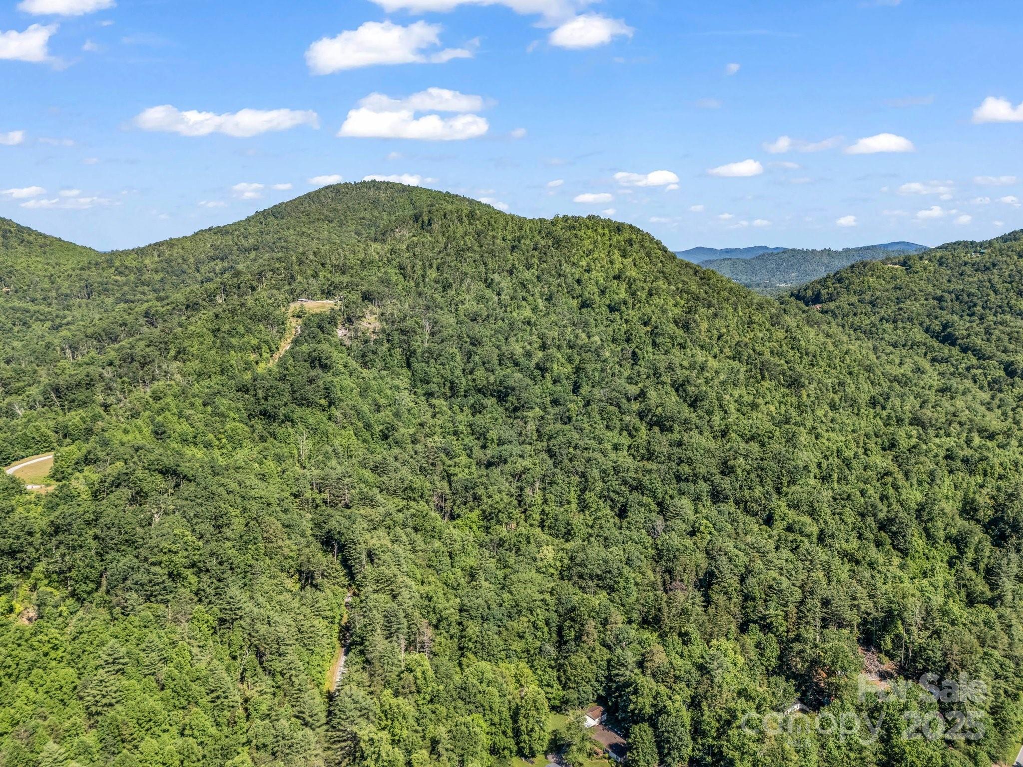 Tbd Climbing Road Hendersonville NC 28792