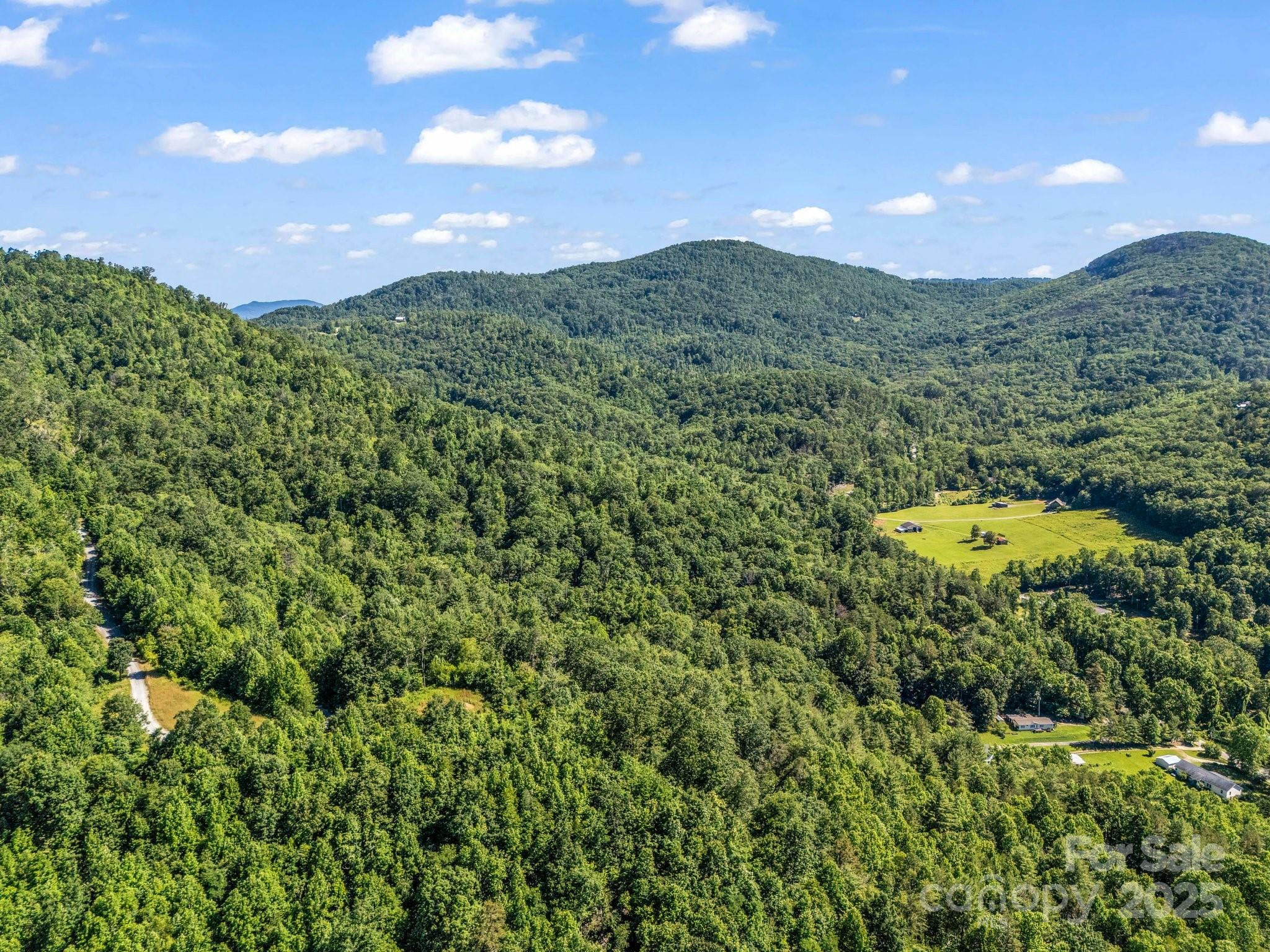 Tbd Climbing Road Hendersonville NC 28792