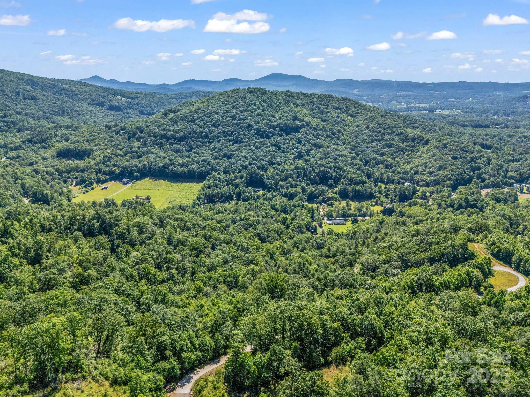 Tbd Climbing Road Hendersonville NC 28792