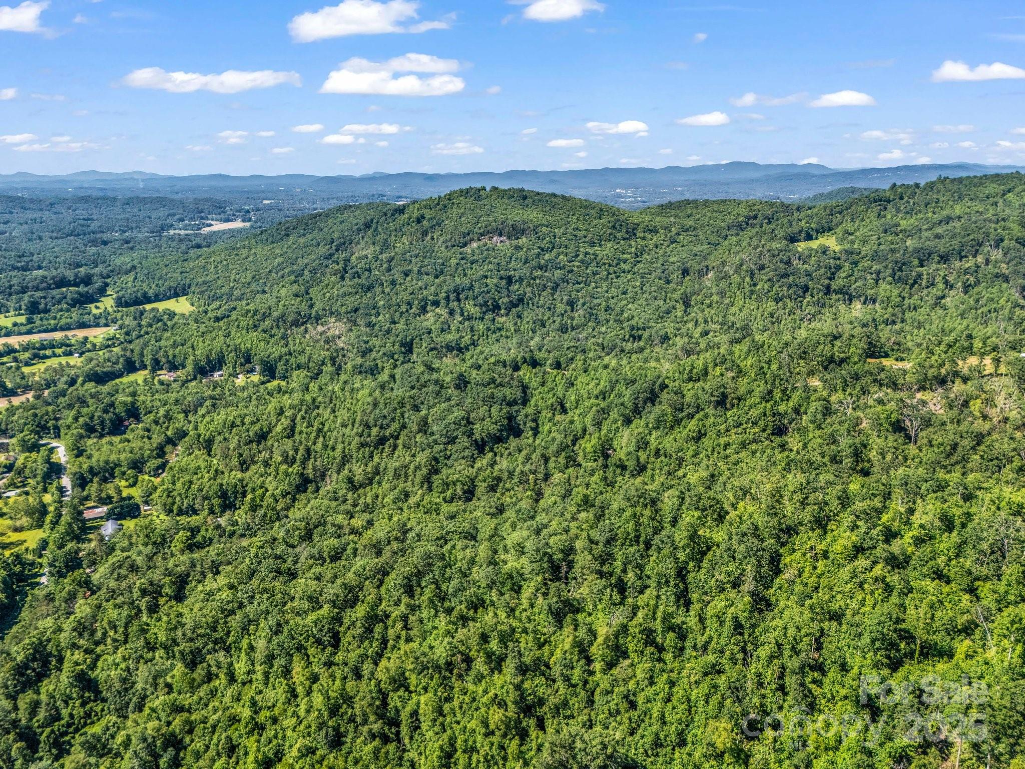 Tbd Climbing Road Hendersonville NC 28792