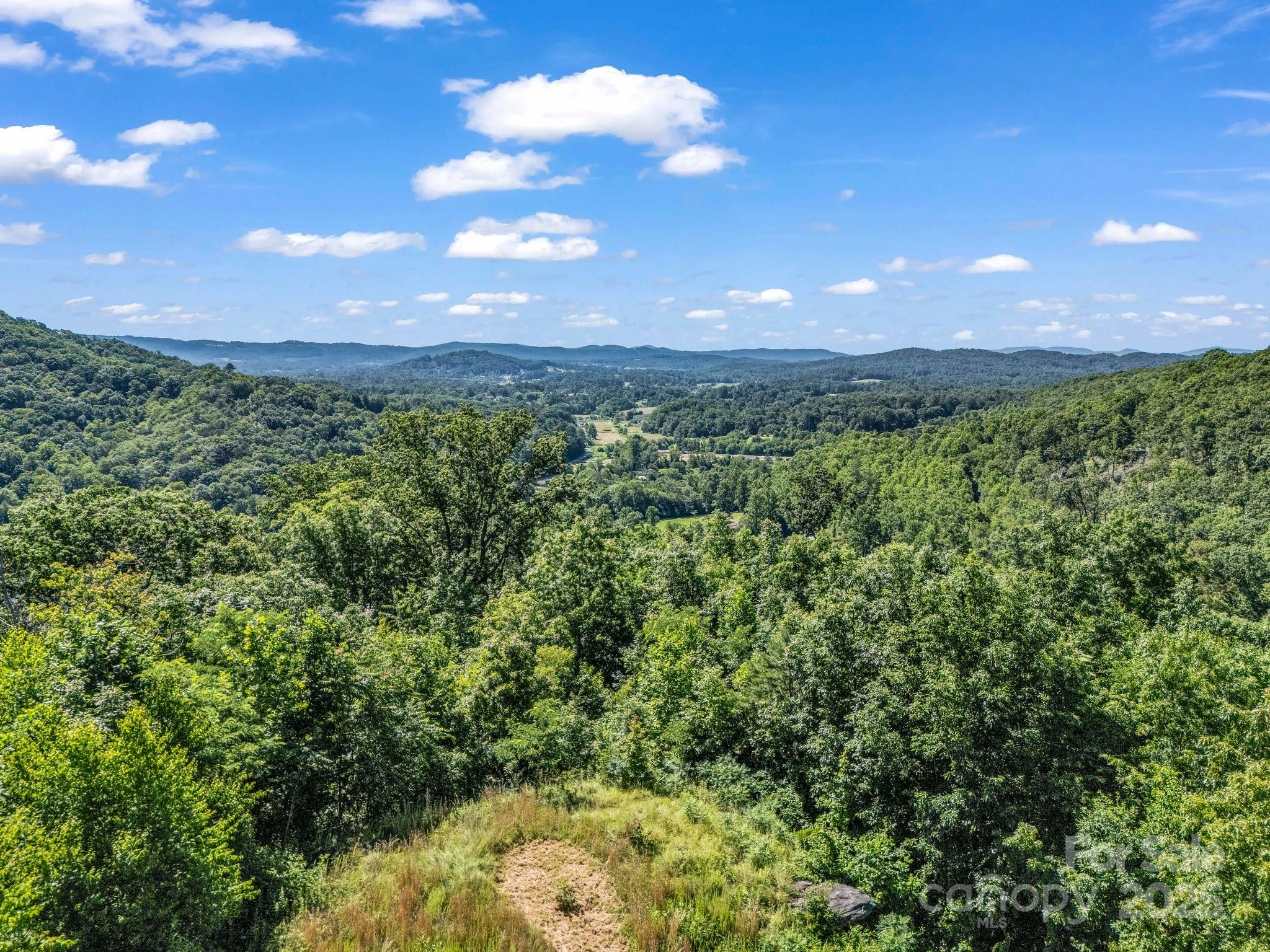 Tbd Climbing Road Hendersonville NC 28792