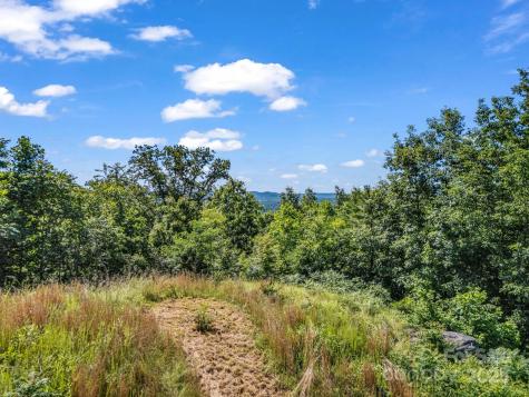 Tbd Climbing Road Hendersonville NC 28792