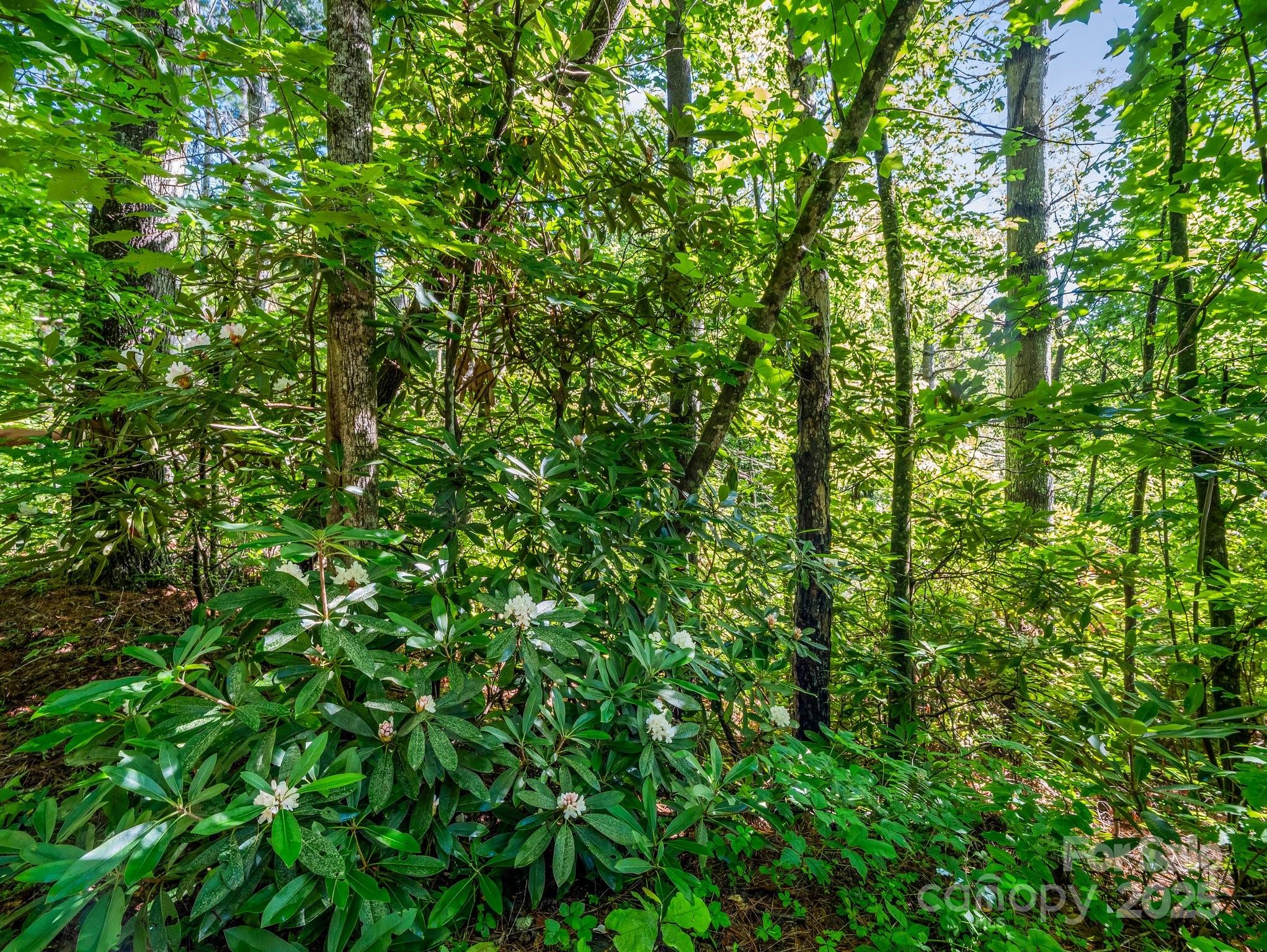 Tbd Climbing Road Hendersonville NC 28792