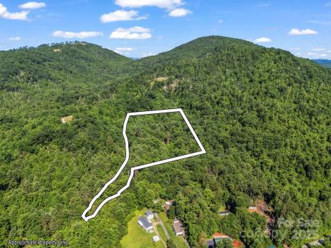 Tbd Climbing Road Hendersonville NC 28792