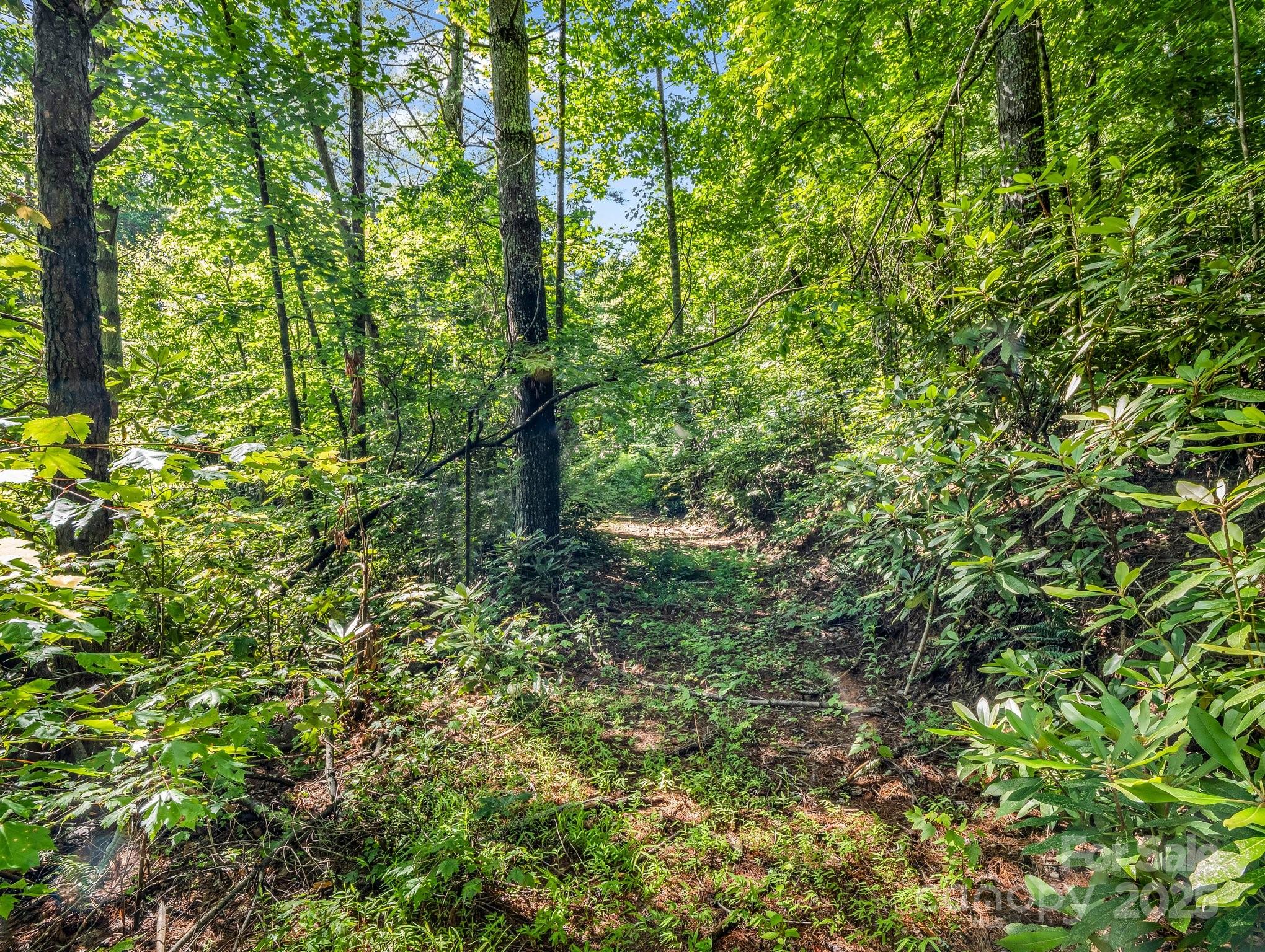 Tbd Climbing Road Hendersonville NC 28792
