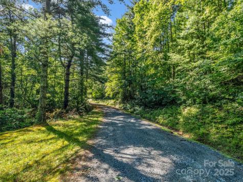Tbd Climbing Road Hendersonville NC 28792
