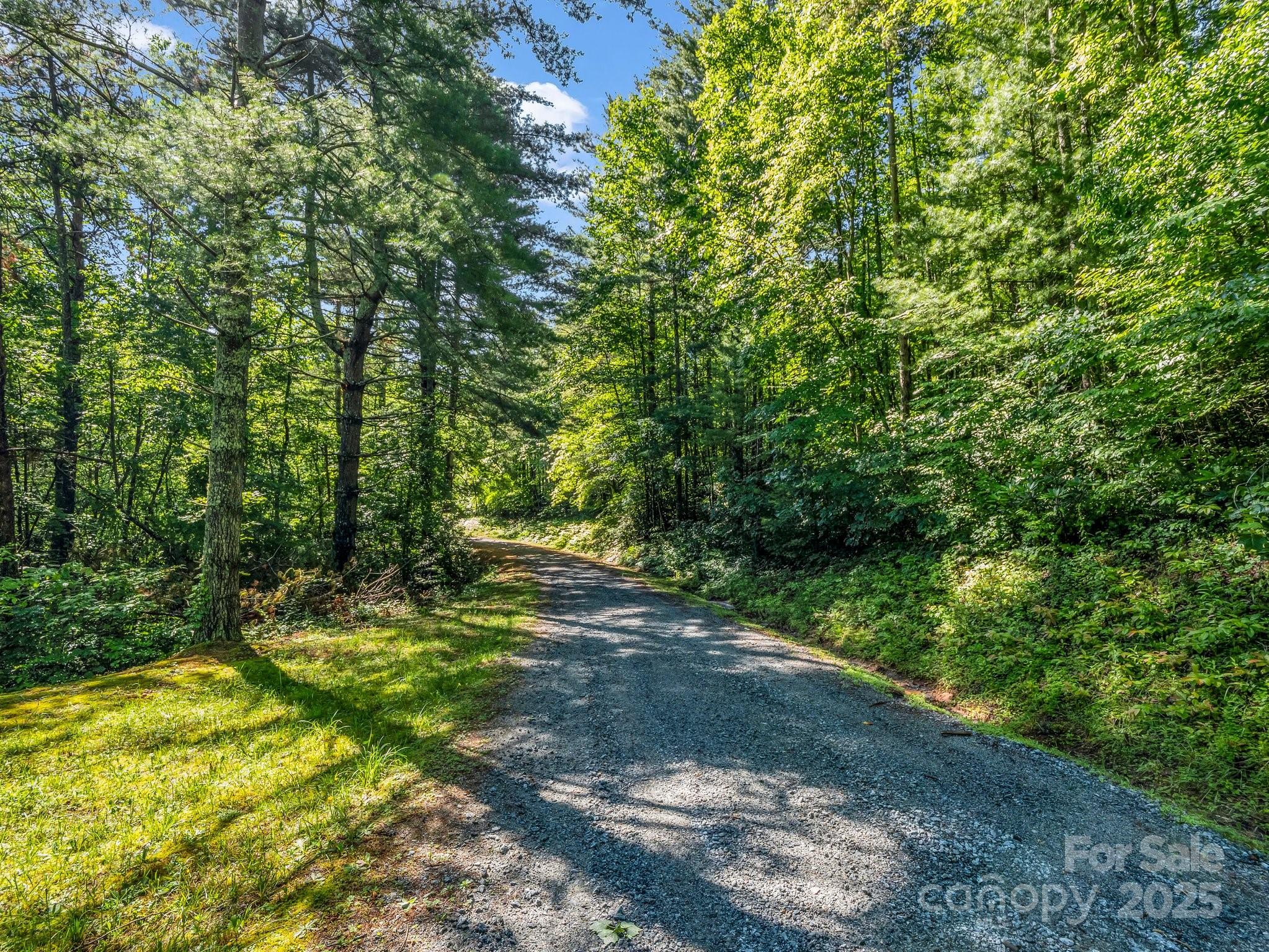 Tbd Climbing Road Hendersonville NC 28792