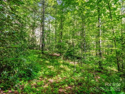 Tbd Climbing Road Hendersonville NC 28792