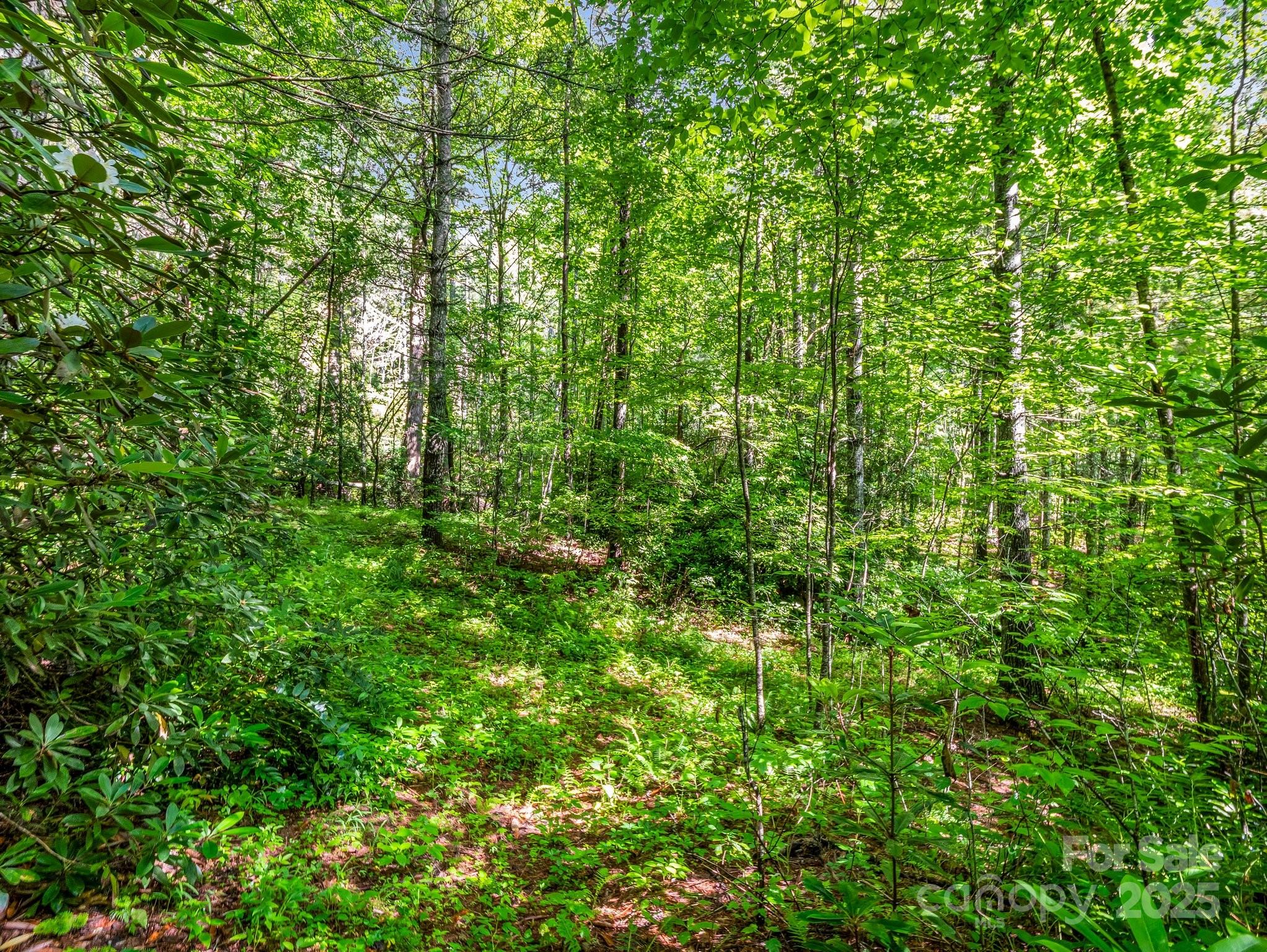 Tbd Climbing Road Hendersonville NC 28792