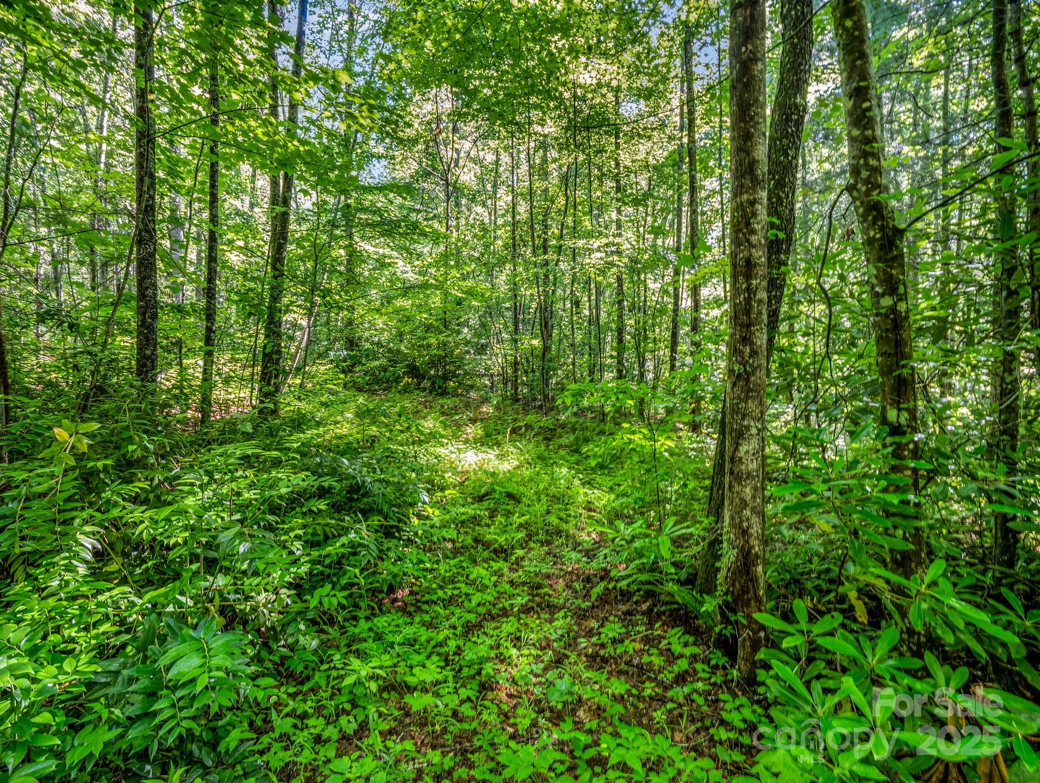 Tbd Climbing Road Hendersonville NC 28792