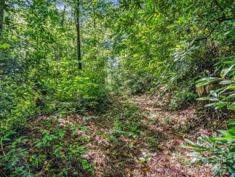 Tbd Climbing Road Hendersonville NC 28792