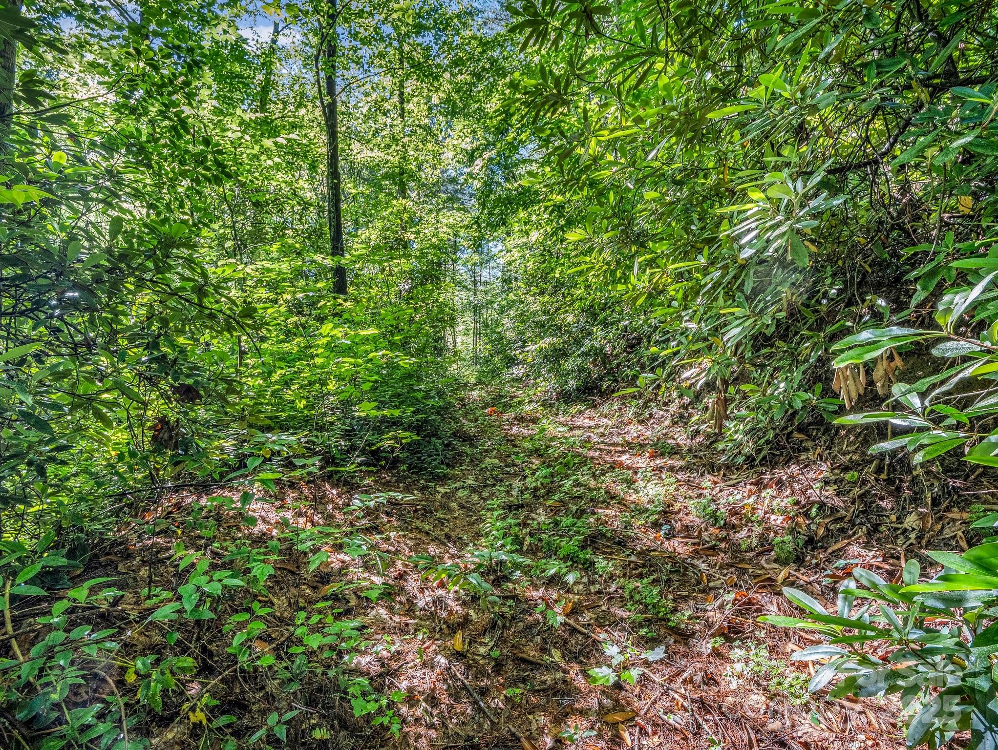 Tbd Climbing Road Hendersonville NC 28792