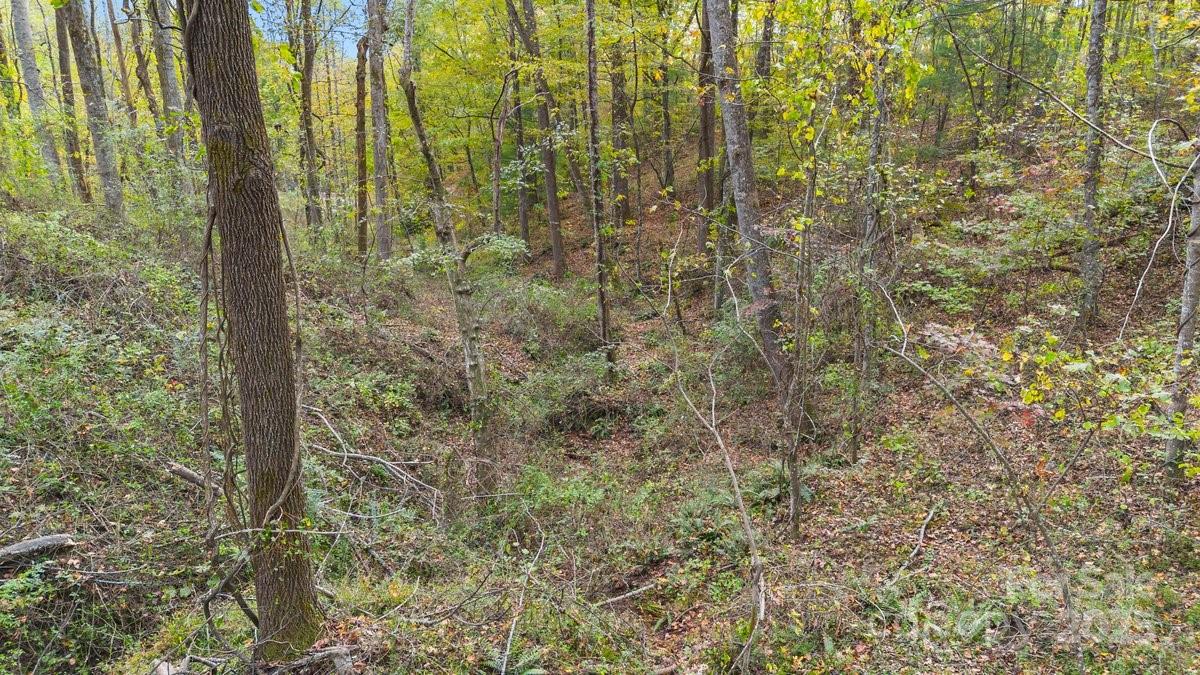 O Kilpatrick Road Hendersonville NC 28739