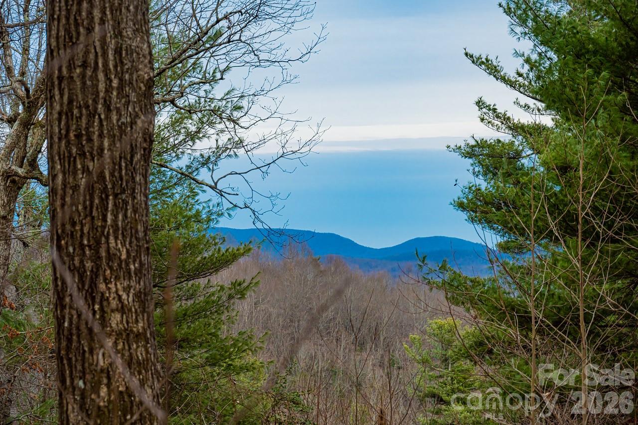 000 Hollybrook Drive Flat Rock NC 28731