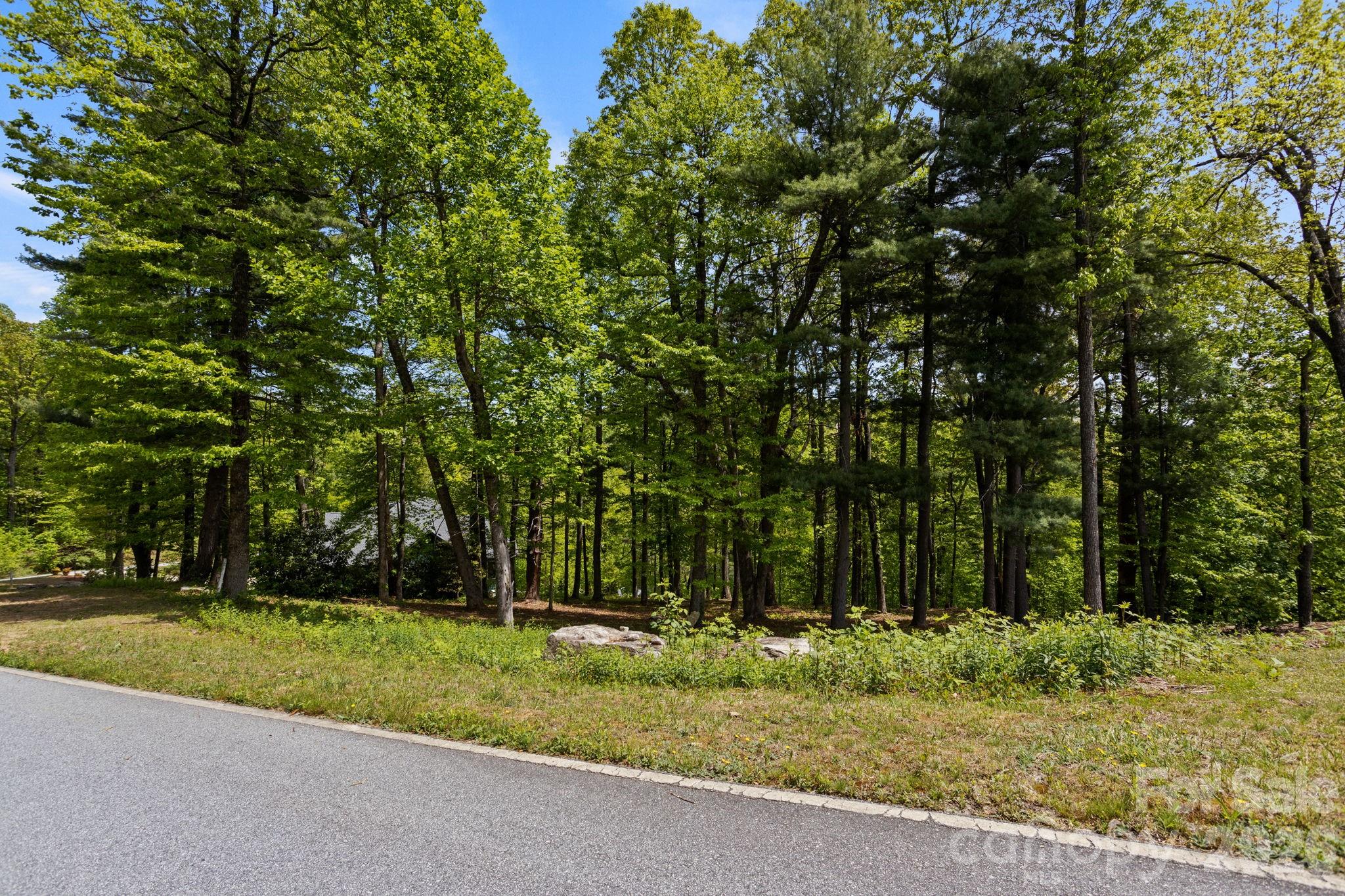 000 Hollybrook Drive Flat Rock NC 28731
