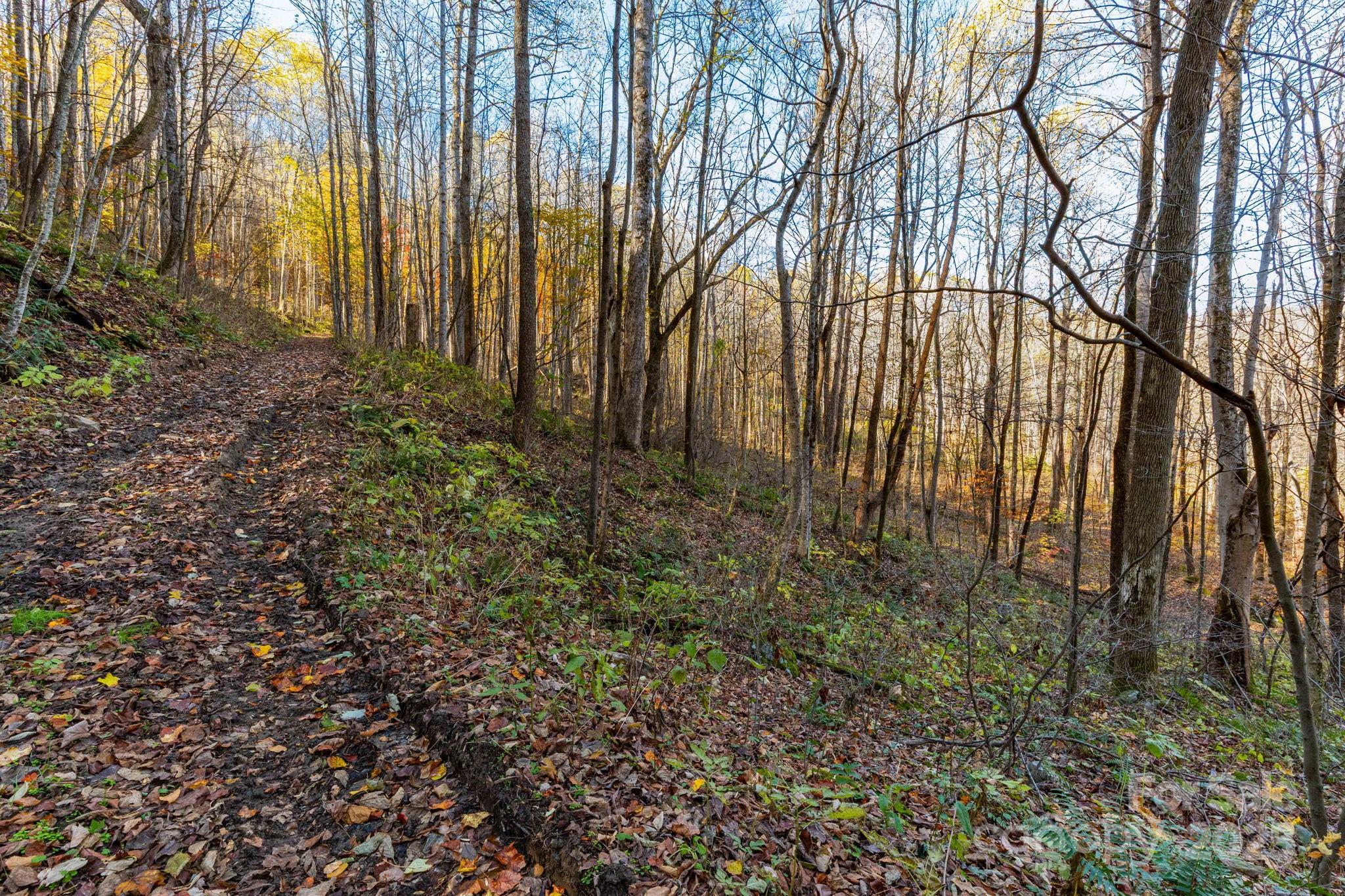 Tbd Appaloosa Trail Waynesville NC 28785
