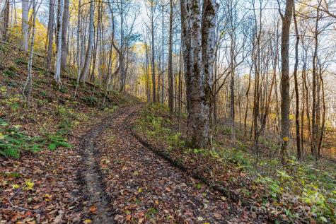 Tbd Appaloosa Trail Waynesville NC 28785
