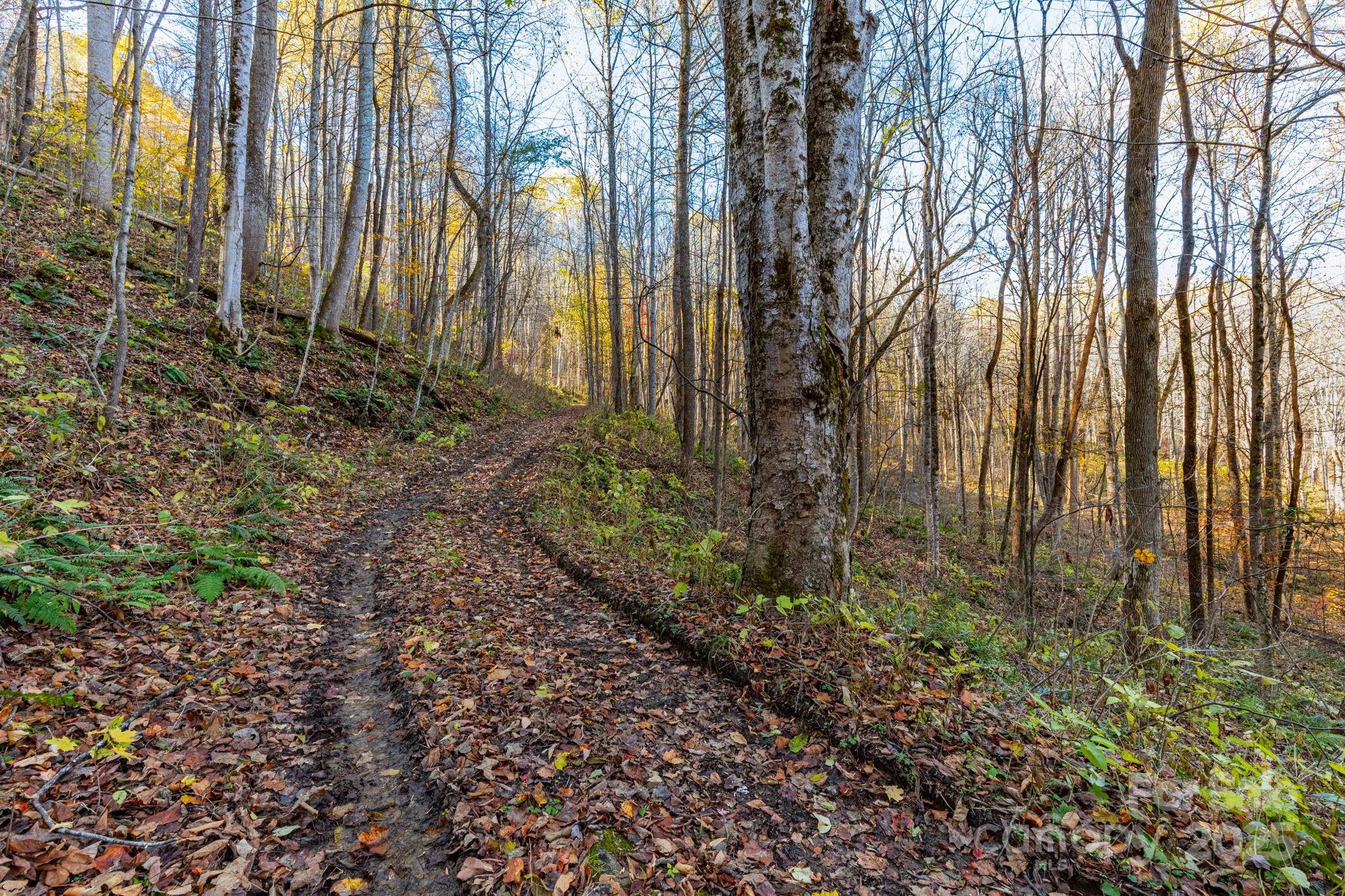 Tbd Appaloosa Trail Waynesville NC 28785