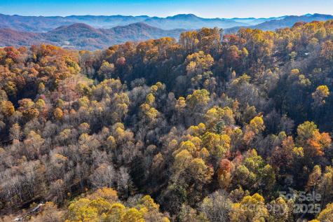 Tbd Appaloosa Trail Waynesville NC 28785