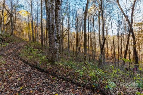 Tbd Appaloosa Trail Waynesville NC 28785
