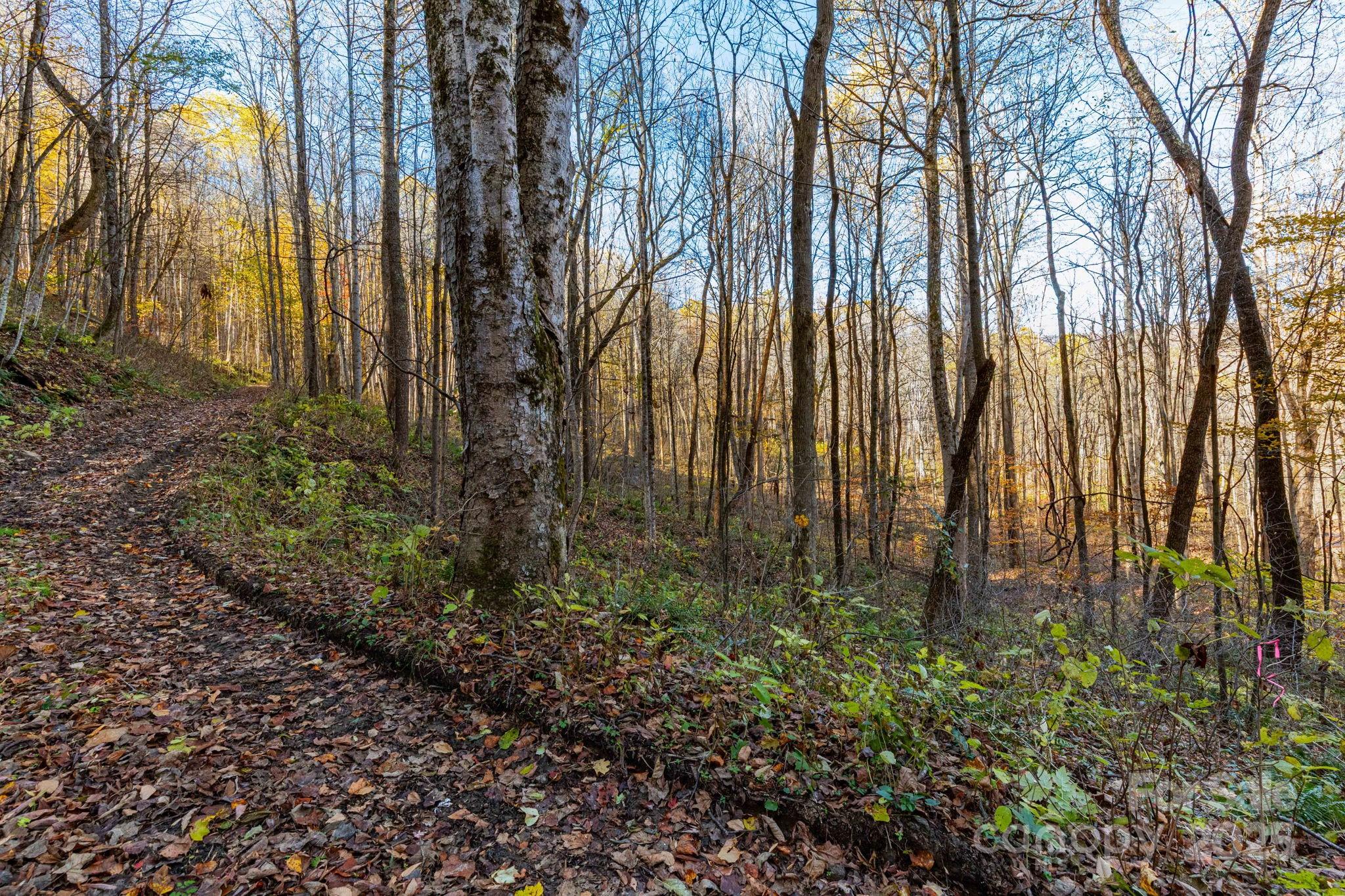 Tbd Appaloosa Trail Waynesville NC 28785