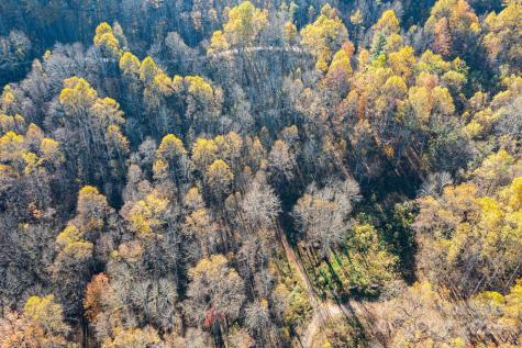 Tbd Appaloosa Trail Waynesville NC 28785