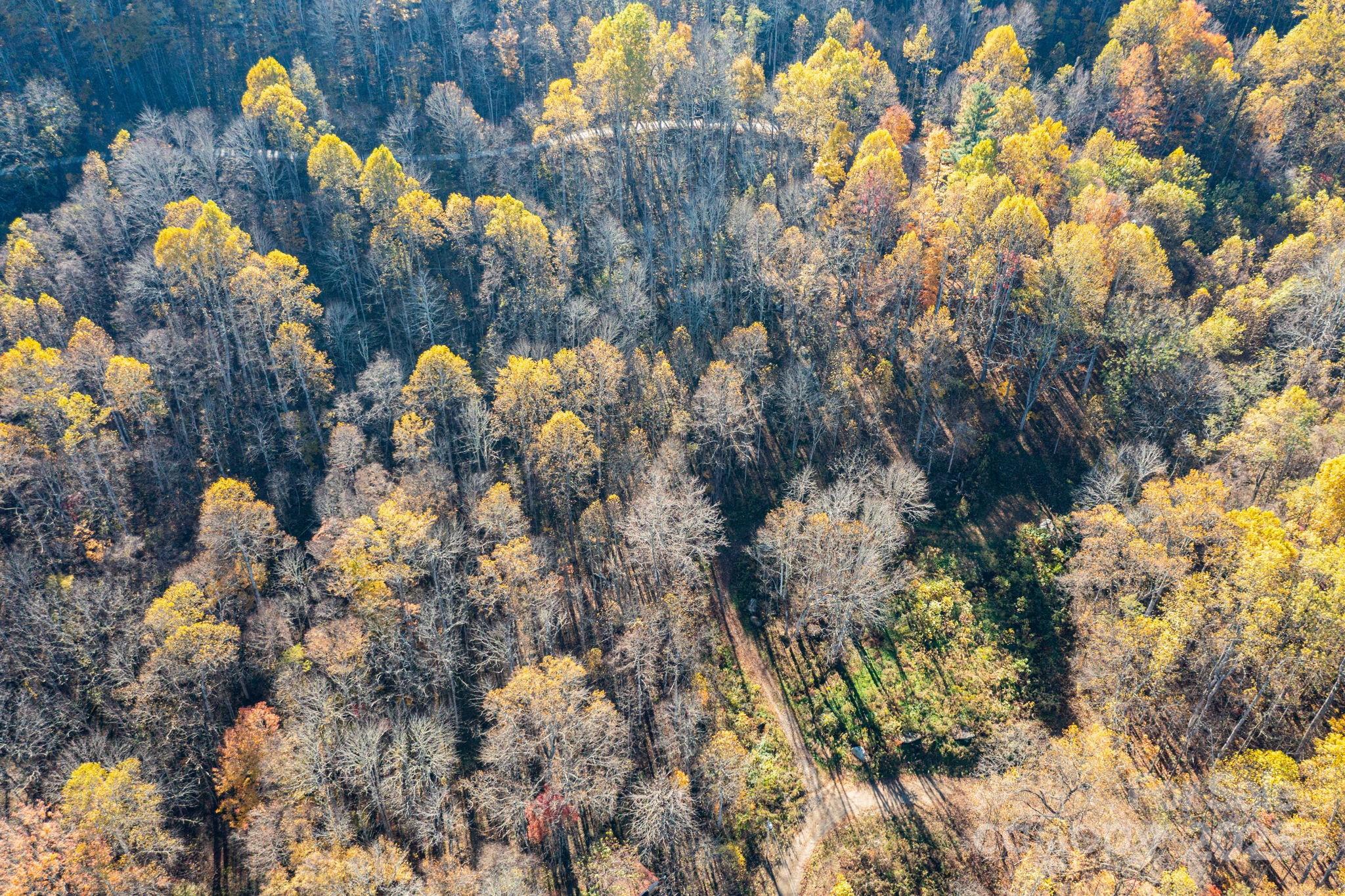 Tbd Appaloosa Trail Waynesville NC 28785