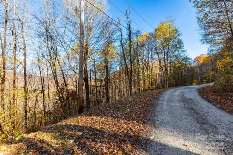 Tbd Appaloosa Trail Waynesville NC 28785