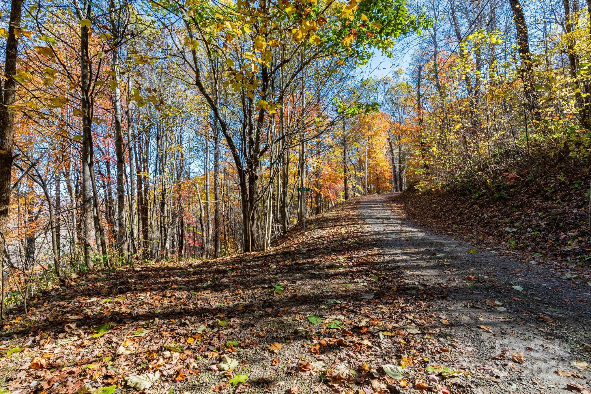 Tbd Appaloosa Trail Waynesville NC 28785