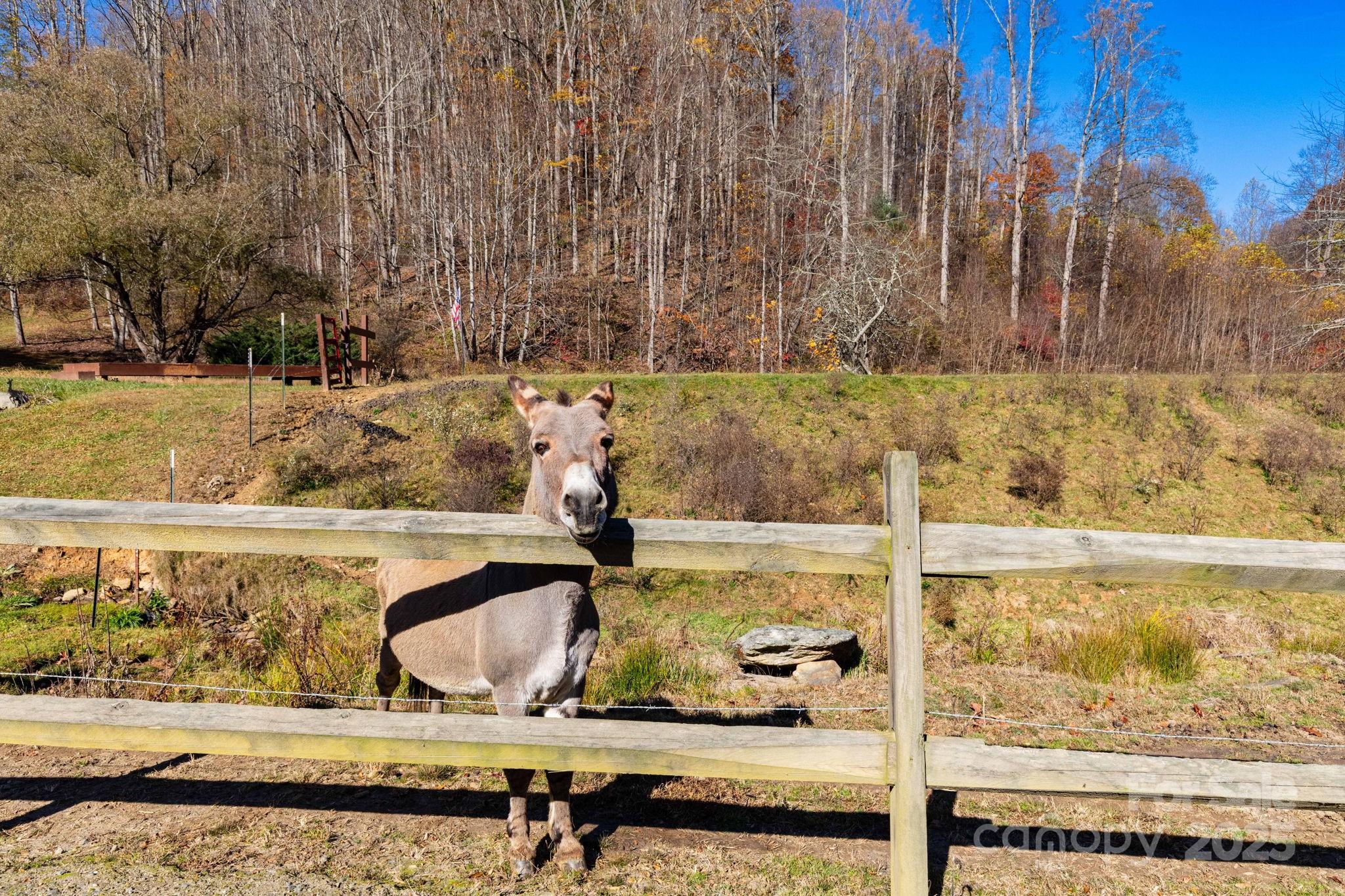 Tbd Appaloosa Trail Waynesville NC 28785