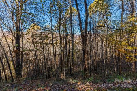 Tbd Appaloosa Trail Waynesville NC 28785