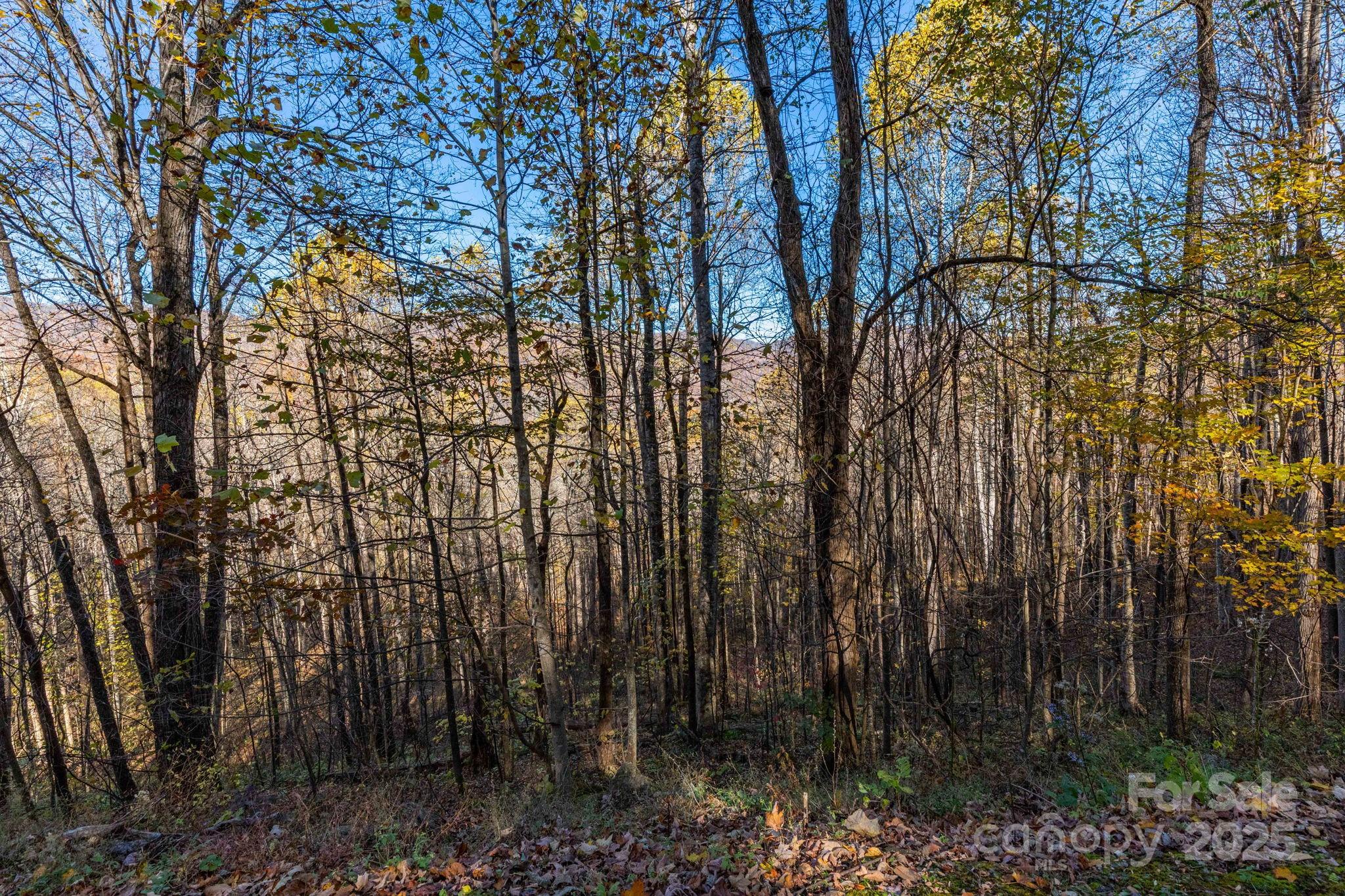 Tbd Appaloosa Trail Waynesville NC 28785