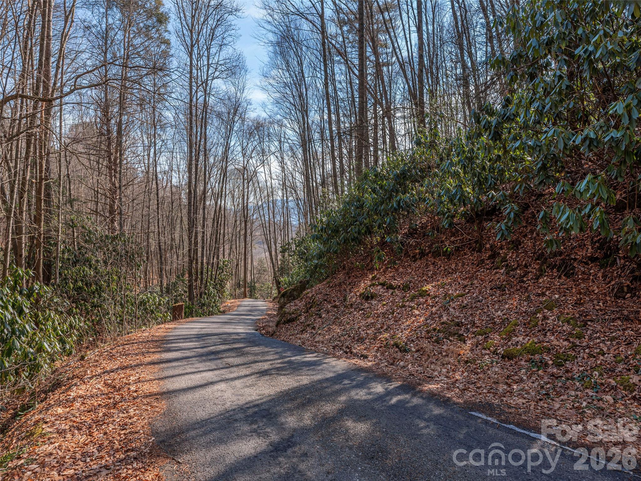 0 Coyote Hollow Road Waynesville NC 28785
