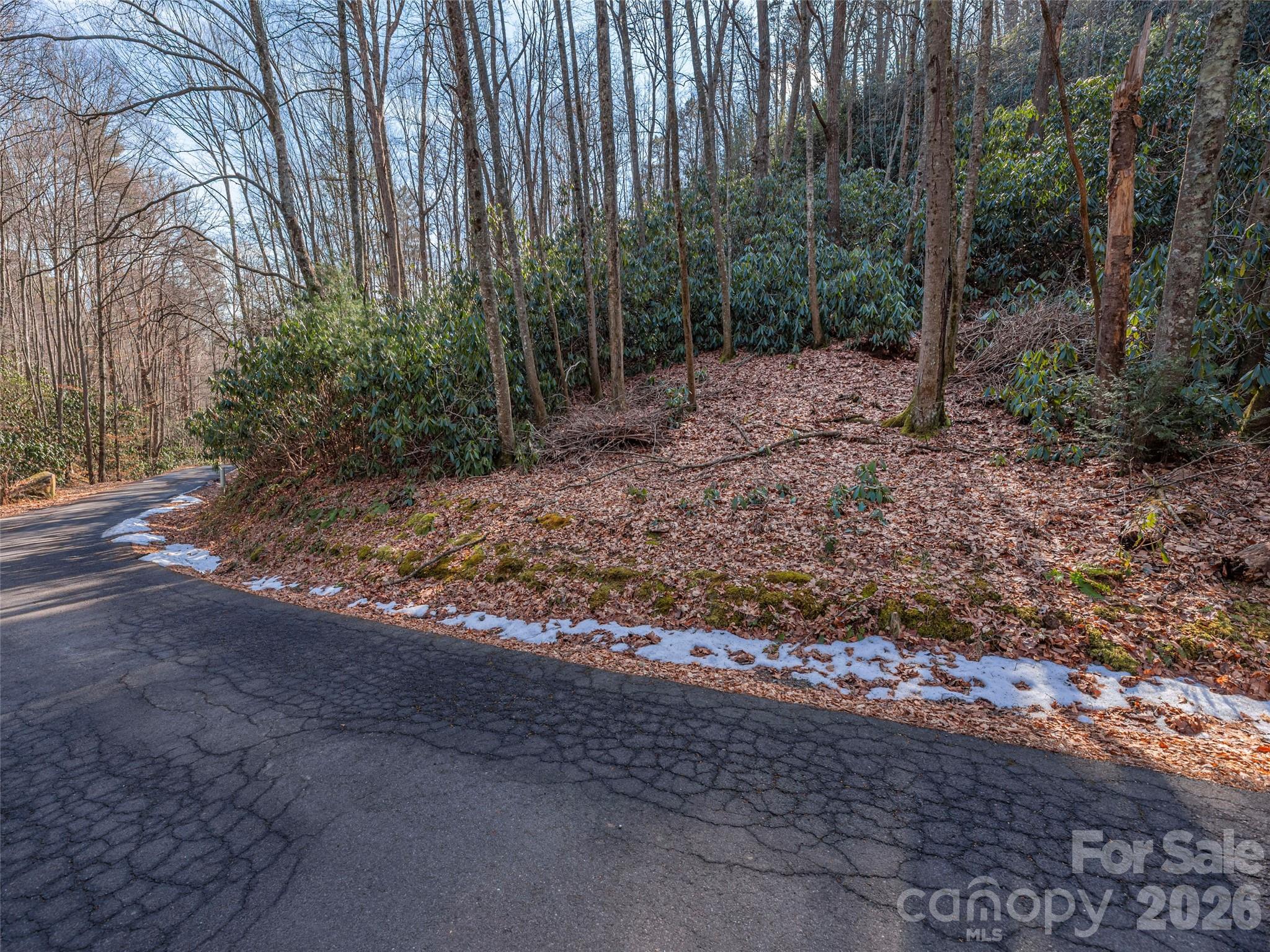 0 Coyote Hollow Road Waynesville NC 28785
