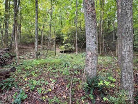 36 Bee Tree Point Court Lake Lure NC 28746