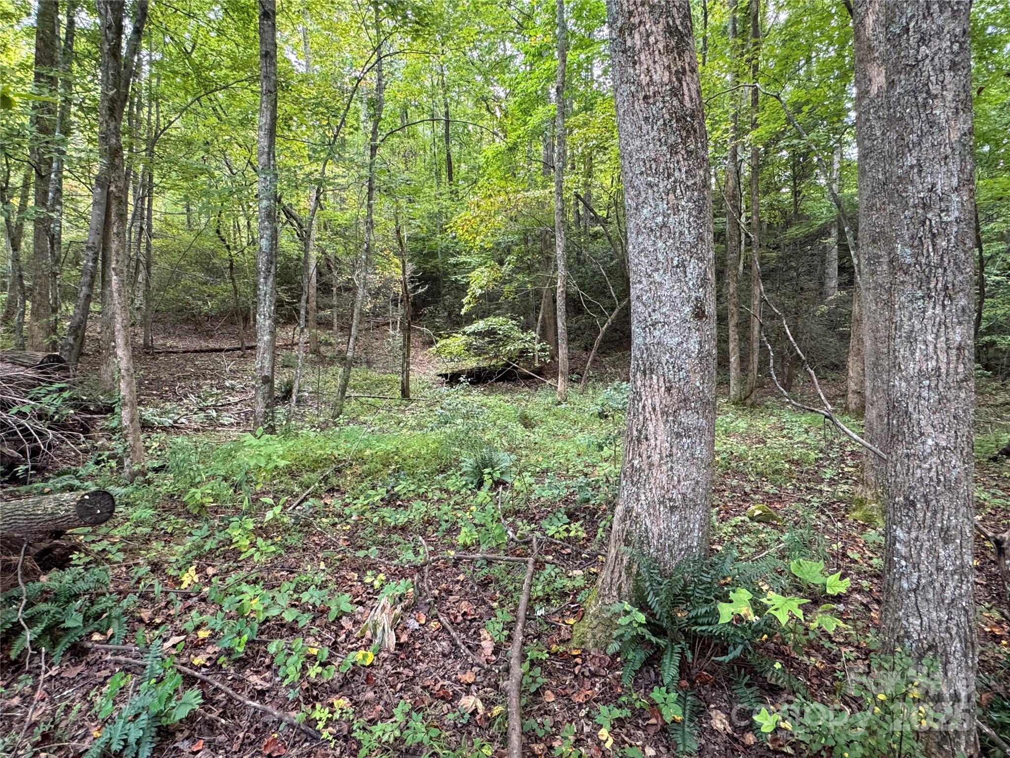 36 Bee Tree Point Court Lake Lure NC 28746
