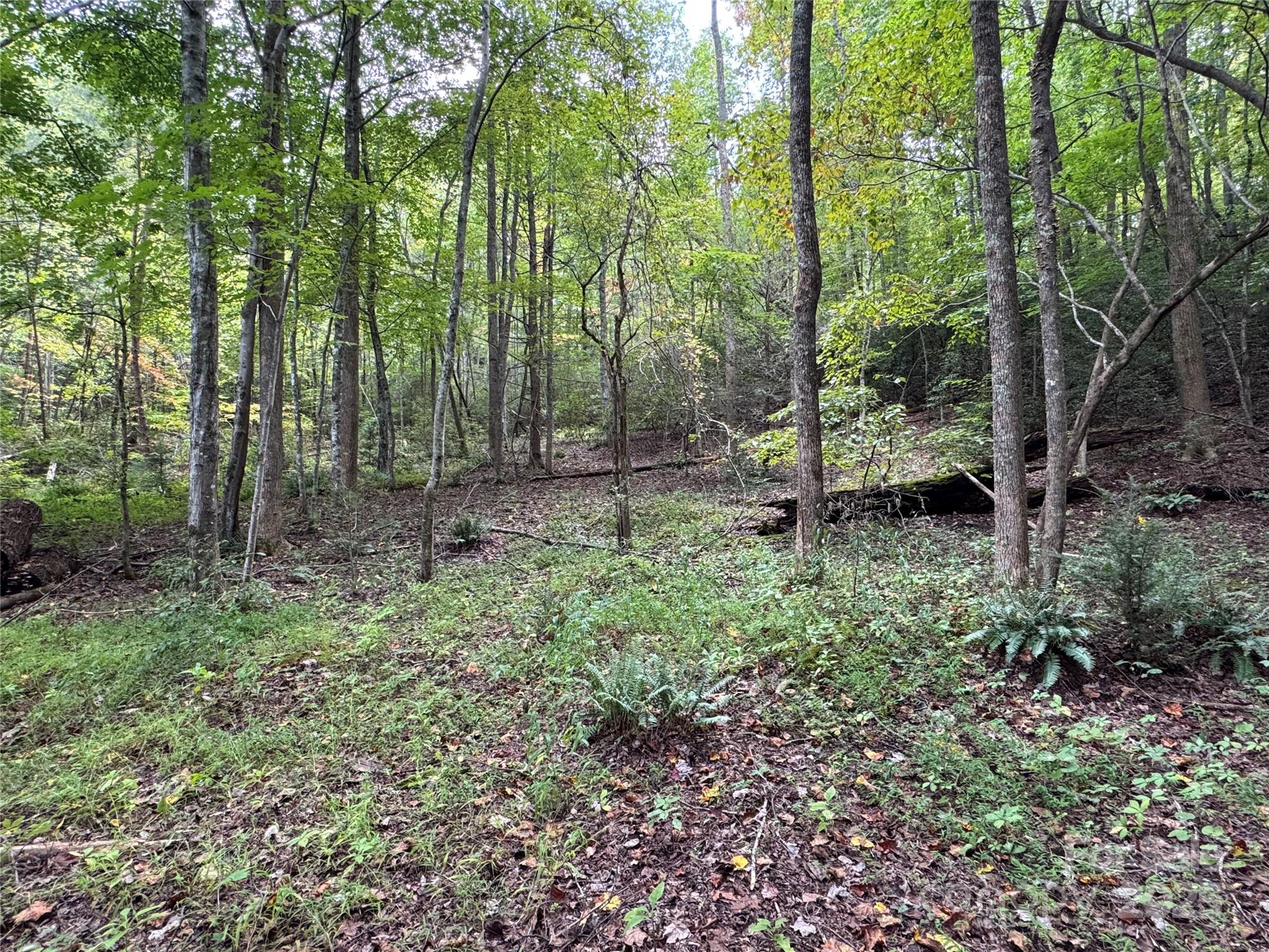 36 Bee Tree Point Court Lake Lure NC 28746