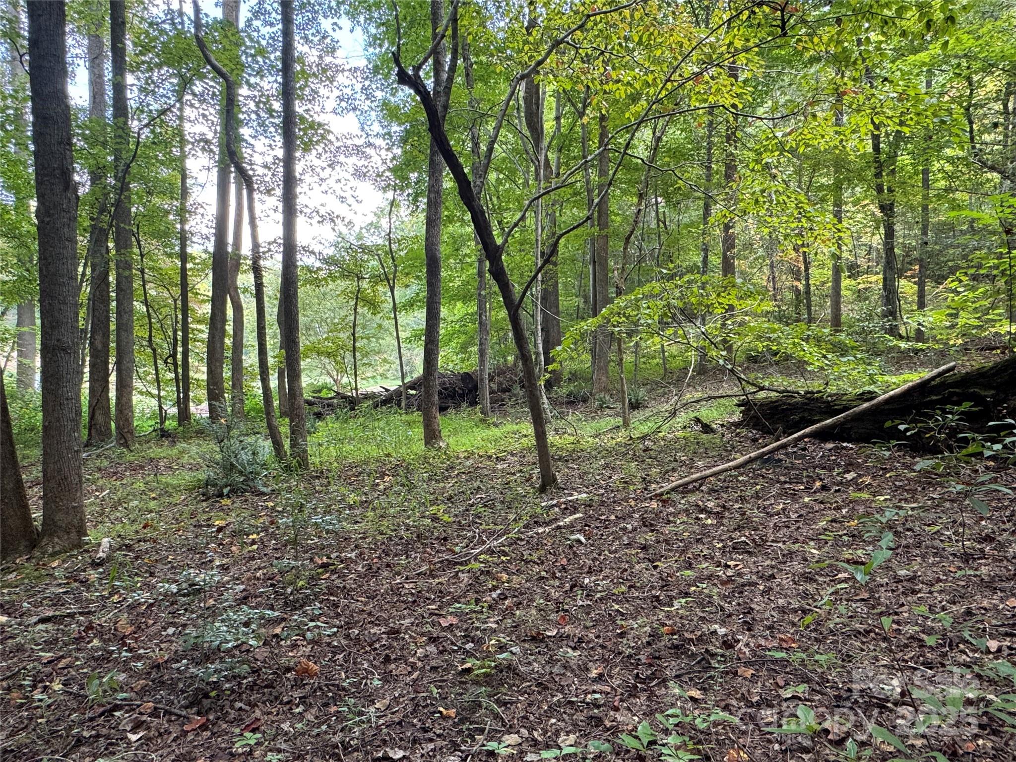 36 Bee Tree Point Court Lake Lure NC 28746