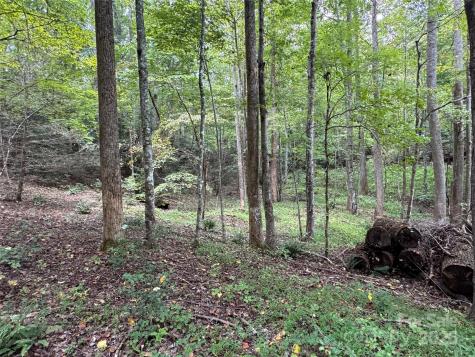 36 Bee Tree Point Court Lake Lure NC 28746