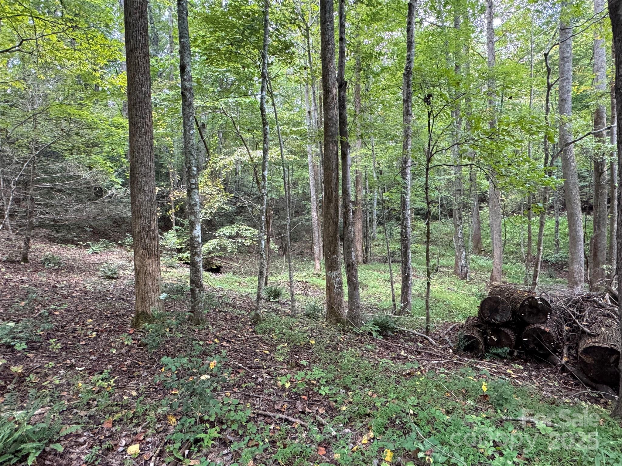 36 Bee Tree Point Court Lake Lure NC 28746
