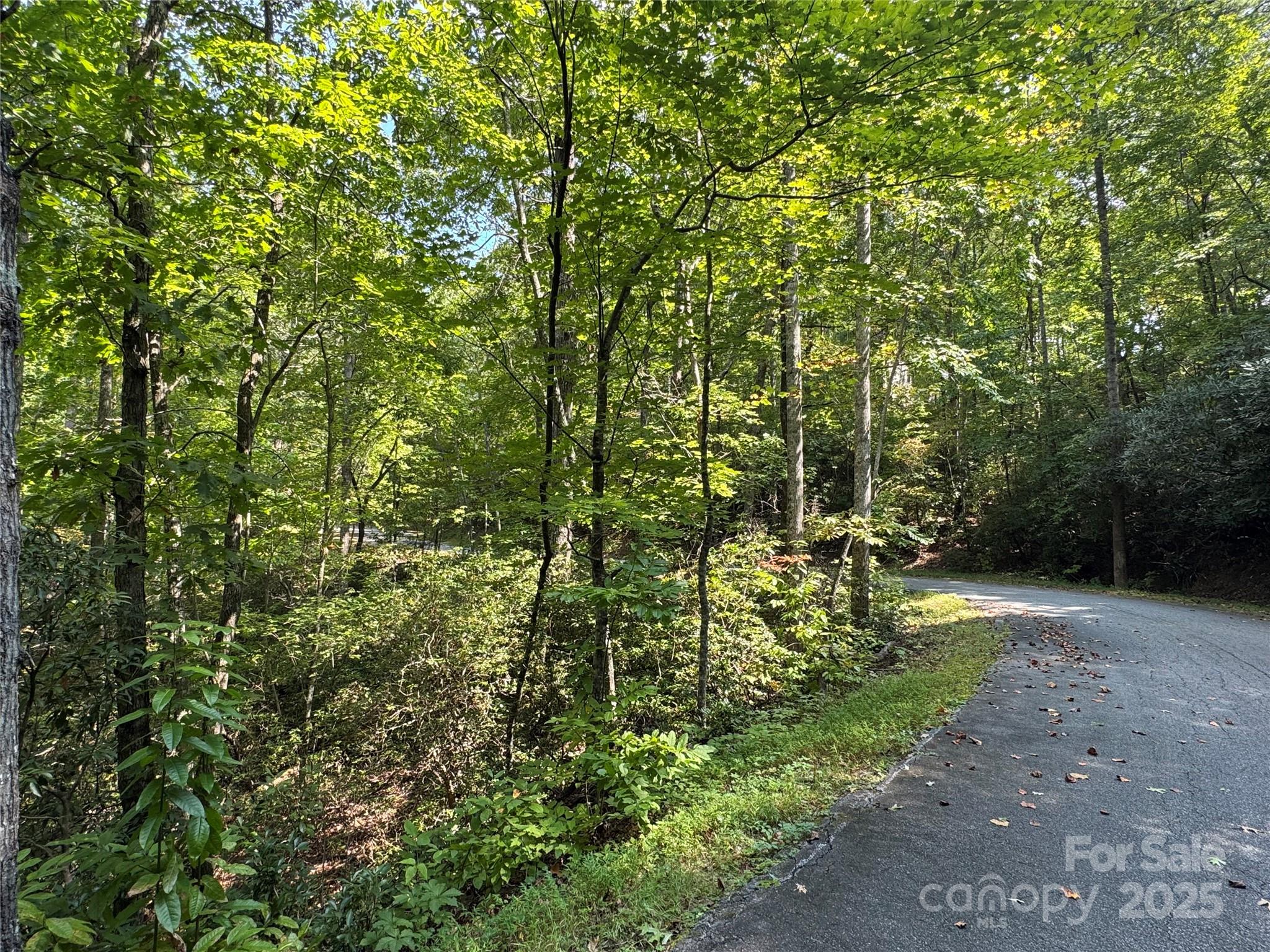 36 Bee Tree Point Court Lake Lure NC 28746