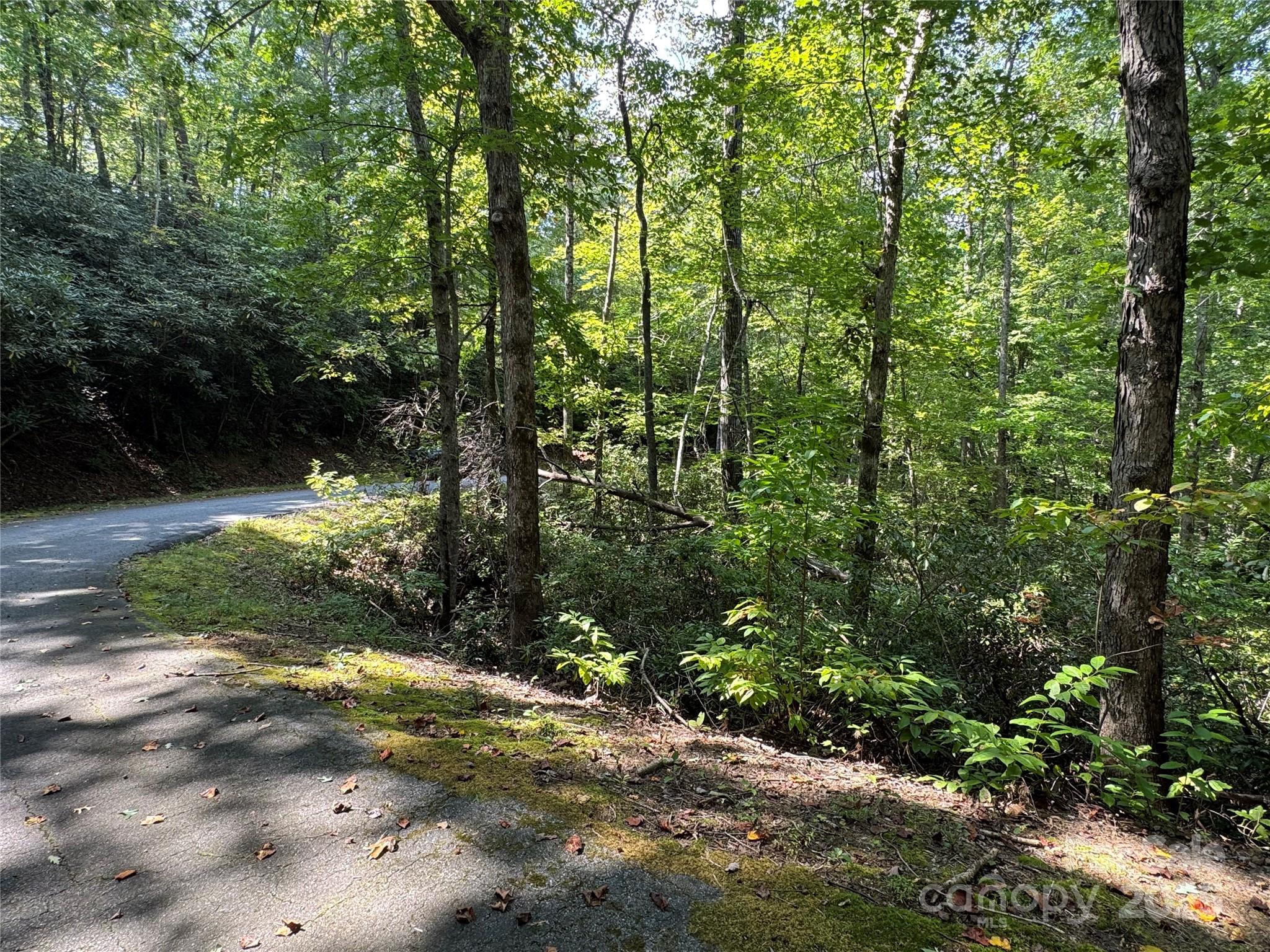 36 Bee Tree Point Court Lake Lure NC 28746