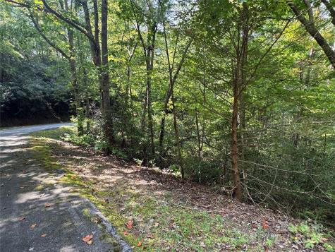 36 Bee Tree Point Court Lake Lure NC 28746