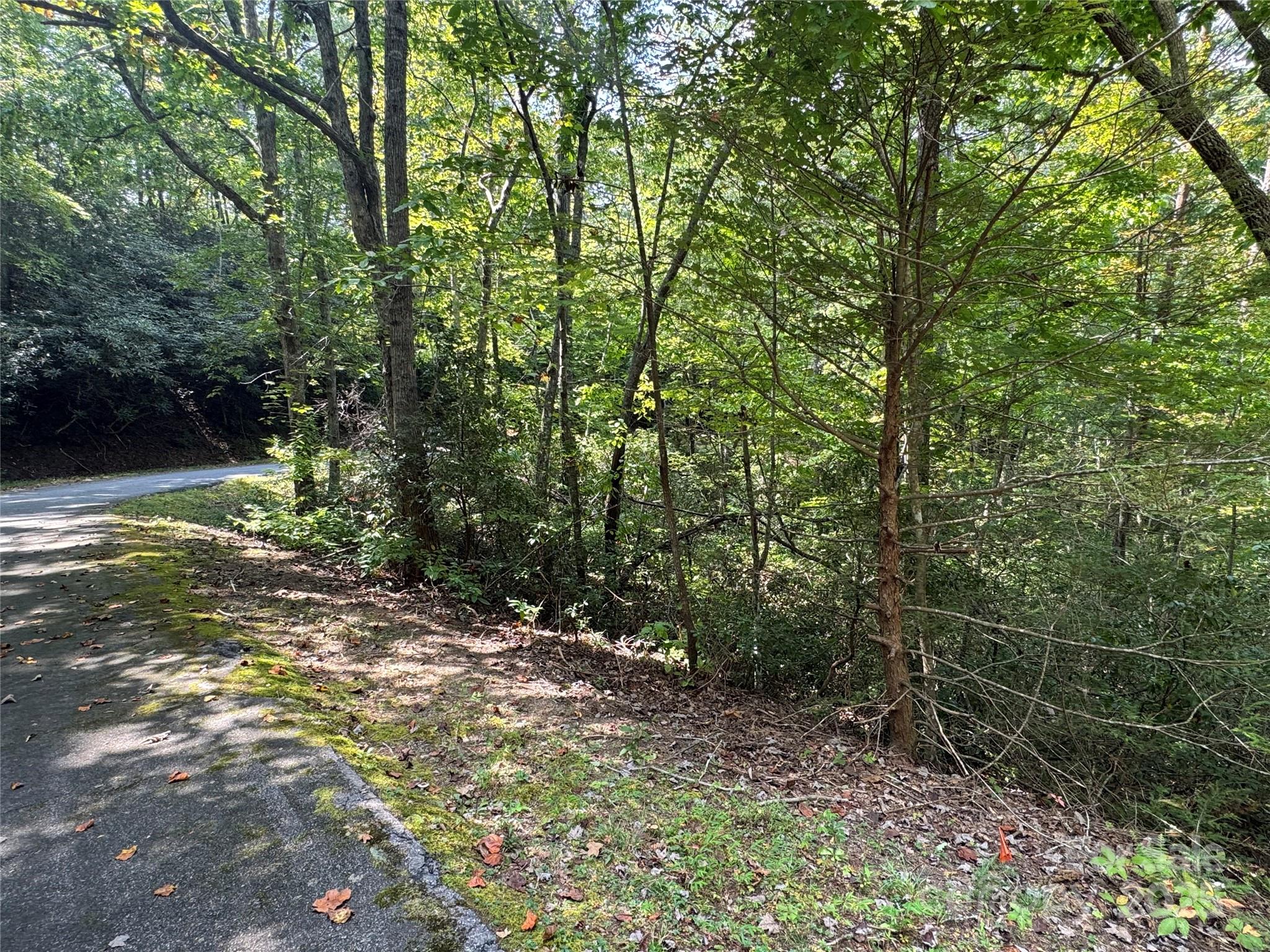 36 Bee Tree Point Court Lake Lure NC 28746