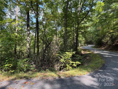 36 Bee Tree Point Court Lake Lure NC 28746