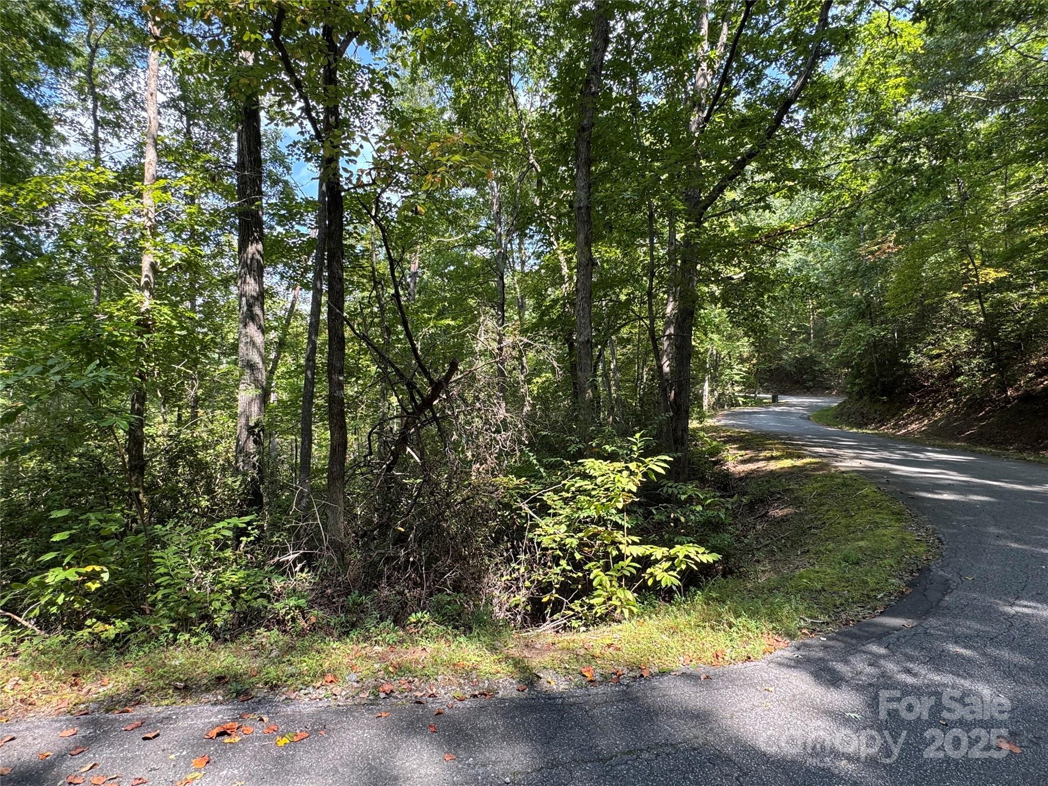 36 Bee Tree Point Court Lake Lure NC 28746