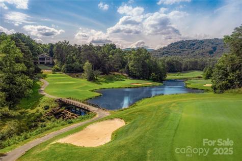 36 Bee Tree Point Court Lake Lure NC 28746