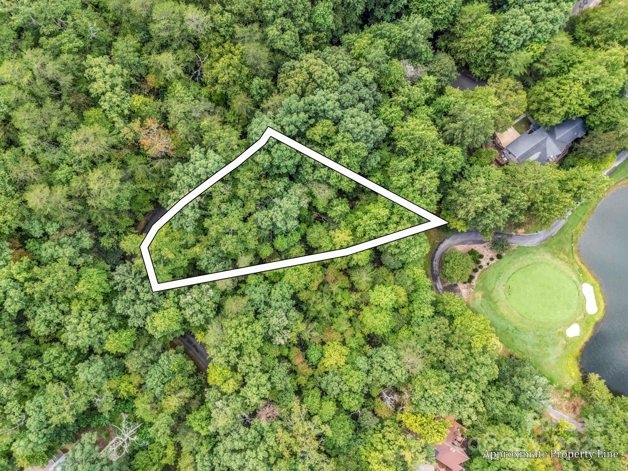 36 Bee Tree Point Court Lake Lure NC 28746
